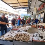 WhatsApp Image 2023-04-04 at 14.29.17