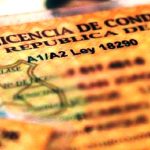 licencias conducir falsas