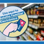 bolsillo familiar electronico