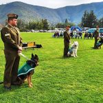 Carabineros curacavi 2