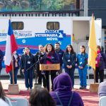 clin veter melipilla