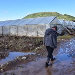 Daños en hortalizas del sur por temporal