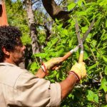 laboral curacavi poda