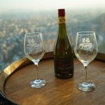 Vendimia Valle del Maipo 2024 (4)